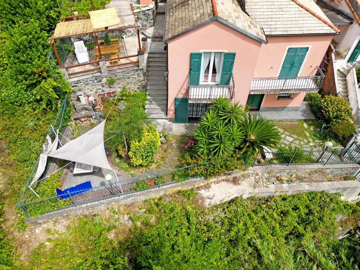 莱万托Casa Glicine Sul Mare公寓 外观 照片